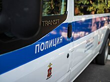 В Одинцовском округе живодеры казнили кота с помощью арбалета