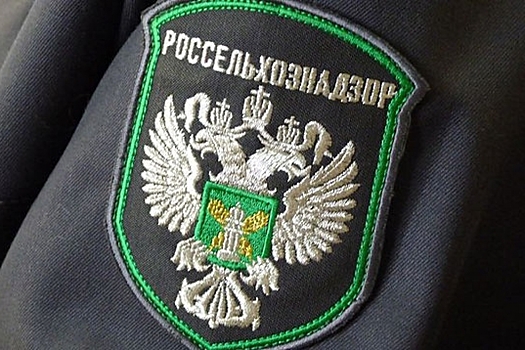 В Курской области пресечено 380 нарушений прав потребителей