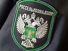 В Курской области пресечено 380 нарушений прав потребителей