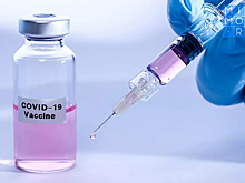 Вакцина от коронавируса российского производства поступила в Дагестан