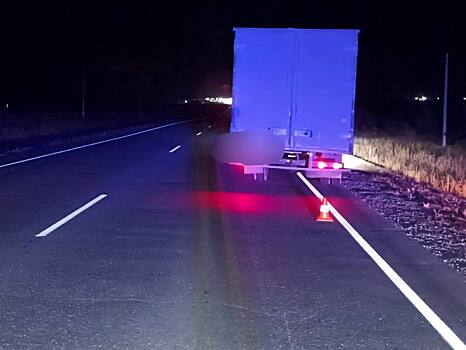 Смертельное ДТП произошло на трассе М-5 «Урал» в районе села Краснощеково