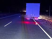 Смертельное ДТП произошло на трассе М-5 «Урал» в районе села Краснощеково