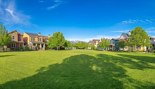 Врачи станут землевладельцами