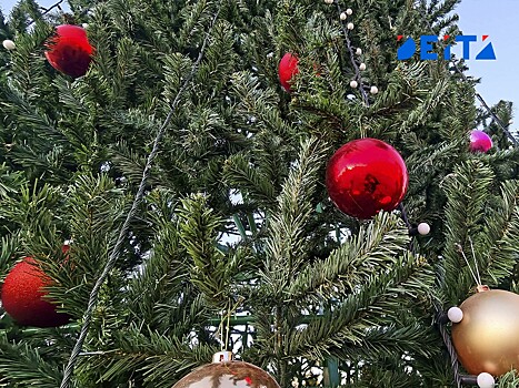 Две недели праздника: как россияне будут отдыхать на Новогодних каникулах