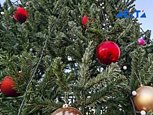 Две недели праздника: как россияне будут отдыхать на Новогодних каникулах