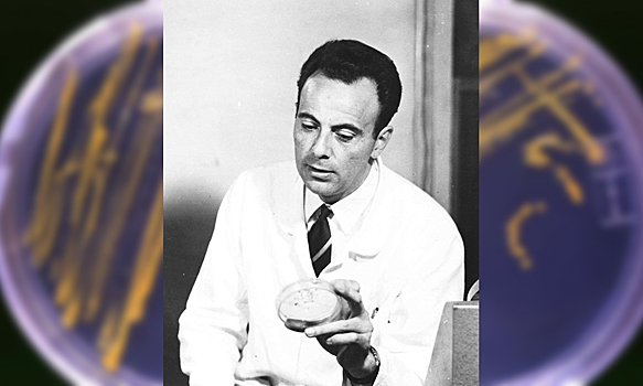 Нобелевские лауреаты: Франсуа Жакоб