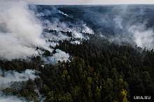 Лесные пожары в ХМАО подошли к населенным пунктам