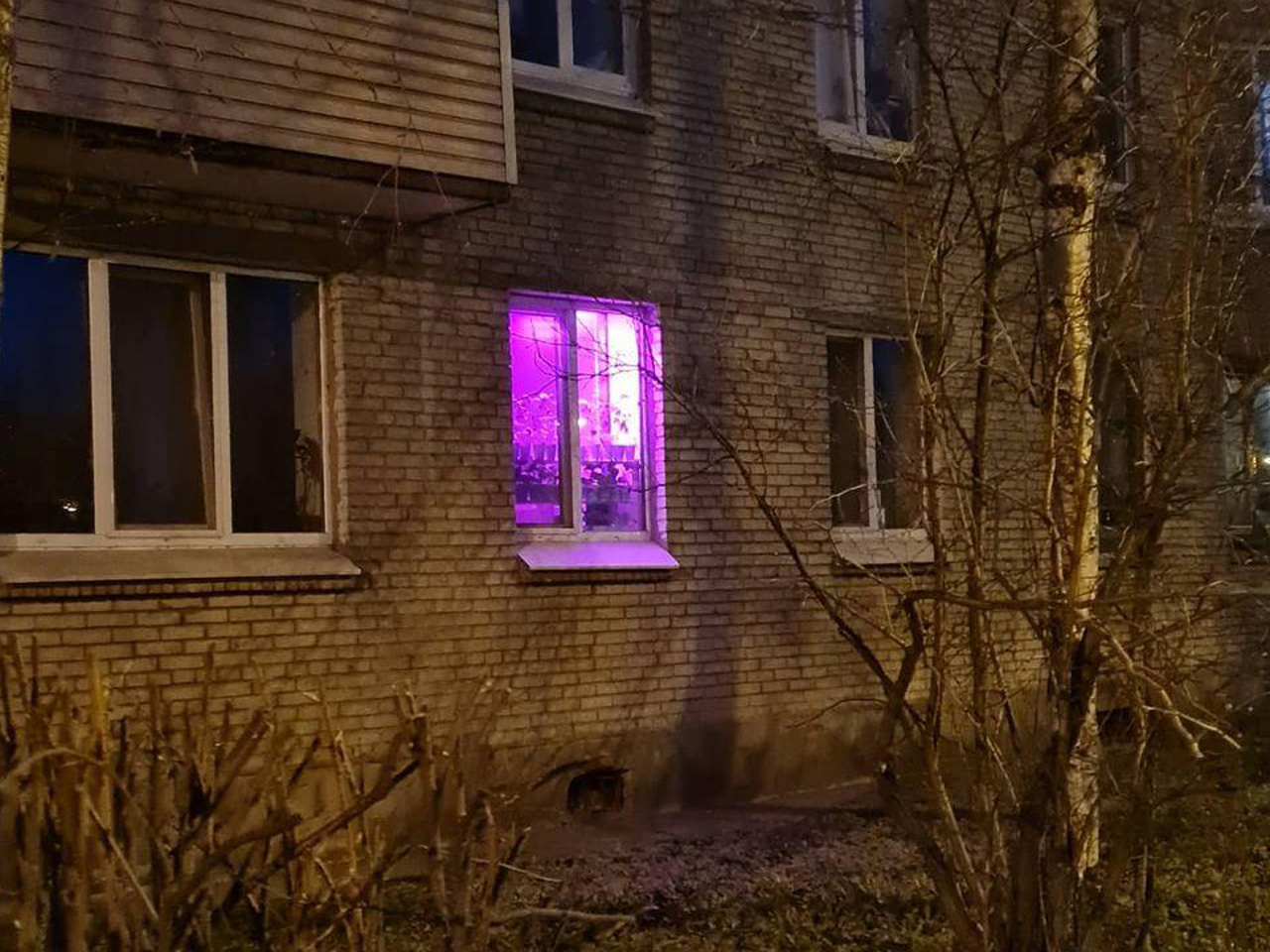 Ока светятся фиолетовым. Фиолетовое свечение в окнах. Фиолетовые окна в домах. Частный дом с горящими окнами.