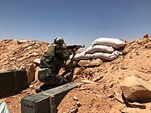 Посол России рассказал о просьбе ЦАР помочь обеспечить безопасность