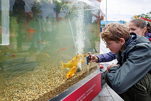 Экологические лекции и мастер-классы пройдут в рамках форума-фестиваля «Территория будущего. Москва 2030»