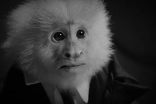 Дэвид Линч неожиданно для всех выпустил фильм