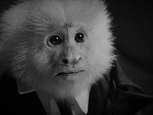 Дэвид Линч неожиданно для всех выпустил фильм