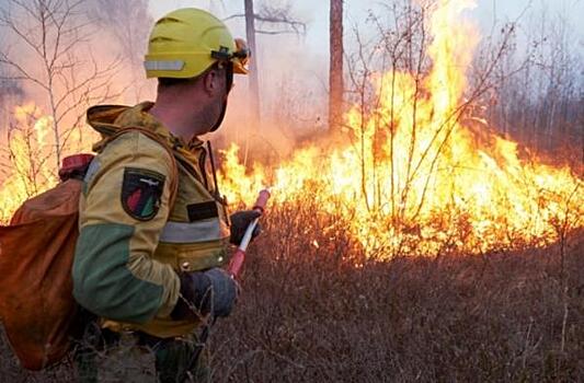 В Тюменской области сохраняется высокий класс пожарной опасности