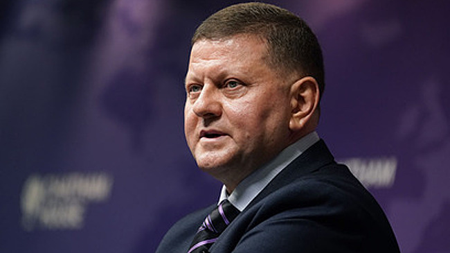 Залужный обрушился с критикой на провалившего наступление Зеленского