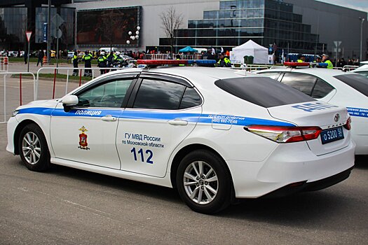 Шесть пьяных женщин устроили драку в центре Москвы