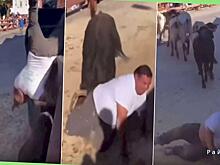 Пышнотелый экстремал упал на арену для корриды и сразу пожалел об этом