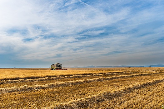 «Сельское хозяйство - один из самых перспективных бизнесов в стране»: Сыровар о развитии фермерства в Калининградской области