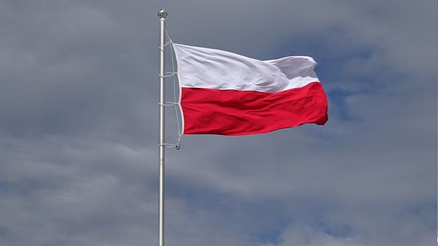 Welt: Польша внушает союзникам мысль о необходимости поставить Россию на колени