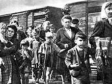 Голые депортации: как после войны немцев переселяли в Германию