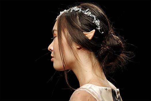 В российском регионе эльфов назвали серьезной угрозой