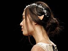 В российском регионе эльфов назвали серьезной угрозой