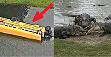 Когда автобус с 27 детьми упал в озеро с аллигаторами, 10-летний мальчик понял, что нужно делать