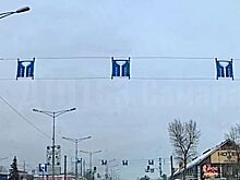 В Самаре на Московском шоссе снег на дорожных знаках запутал автомобилистов