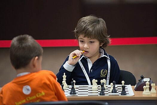 Тюльпанов усомнился в низких рейтингах трансляций шахматных турниров