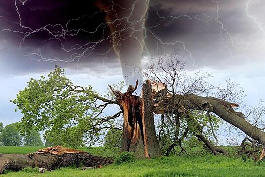 Сразу пять опасных погодных явлений обрушатся на Приморье 31 мая