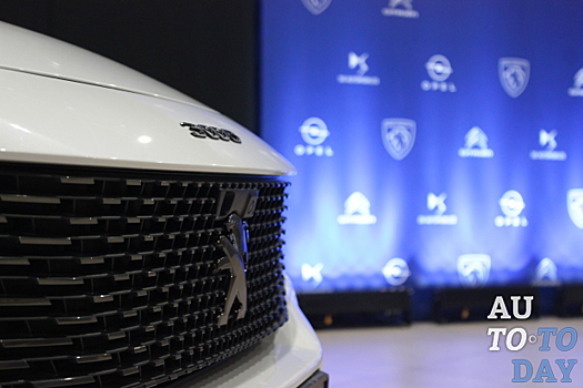 Полтора десятка новых моделей: Stellantis в Украине анонсирует насыщенный год