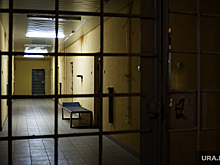 Депутата из Татарстана, замешанного в уголовных делах челябинского минстроя, оставили под стражей