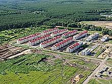Ложка зелени в бочке Медовки