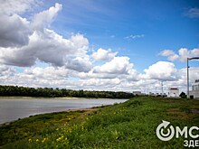 Никас Сафронов приложит руку к созданию Аллеи славы в Омске