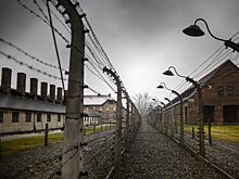 ФСБ раскрыла архивы о нацистском преступнике Черном Федоре из концлагеря