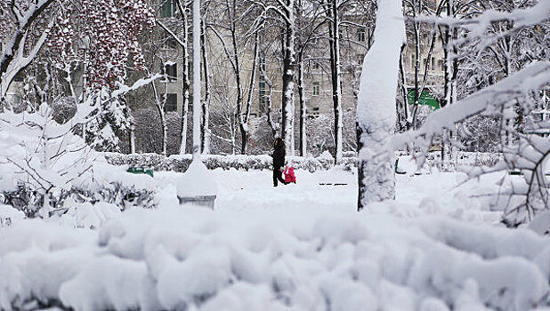 В первую неделю зимы в Красноярске потеплеет до 0°C