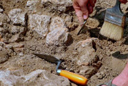 Тюменские археологи нашли древнее захоронение яйцеголовых гуннов