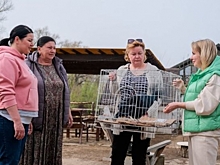 Под Волгоградом нашла новый дом конфискованная птица