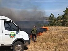 Саратовской области удалось в разы сократить ущерб от лесных пожаров