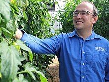 Искусственный интеллект участвует во вкусной селекции