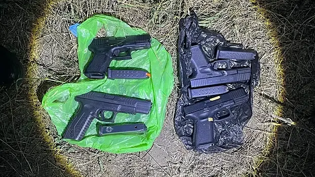 В Московской области состоялись учебно-методические сборы с сотрудниками кинологических и кавалерийских подразделений МВД России