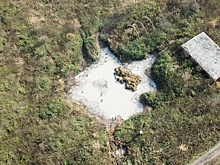 Сливавшую отходы сыроварню проверят в Княгининском районе