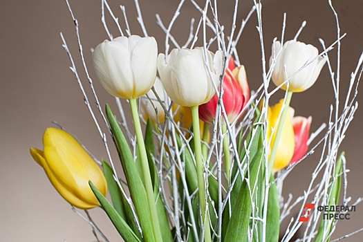 Где купить тюльпаны к 8 Марта во Владивостоке: адреса автолавок