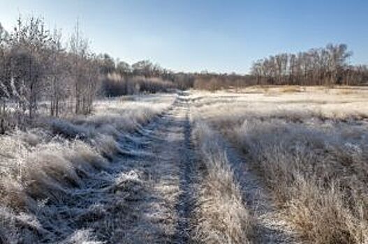 Вокруг городов Волгоградской области создадут защитные «зеленые пояса»