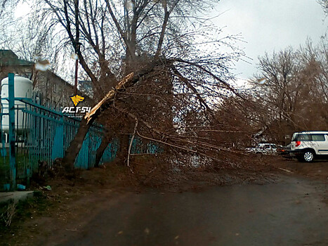В Новосибирске 8-летнюю девочку высадили из автобуса во время сильной бури