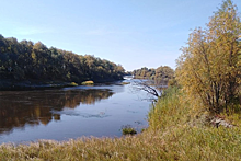 В Новосибирской области водолазы неделю ищут рыбака со спиннингом