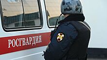 Росгвардия вторые сутки ищет пропавшего в Крыму трехлетнего ребенка