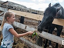 В Татарстане в 2023 году 8 участников претендуют на грант по направлению "Агротуризм"