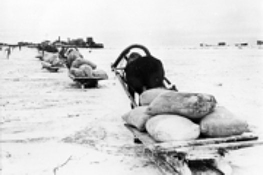 Животных блокадного Ленинграда увековечат в памятнике