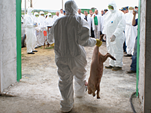 В Крыму ввели режим ЧС