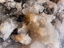 В Волгограде студента колледжа подозревают в покушении на сбыт наркотиков